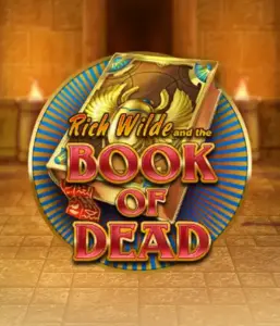 Enter the thrilling world of Book of Dead Slot by Play'n GO, showcasing vivid graphics of Rich Wilde’s adventurous journey through ancient Egyptian tombs and artifacts. Find lost riches with captivating mechanics like free spins, expanding symbols, and a gamble option. Ideal for adventure enthusiasts with a desire for exciting finds.